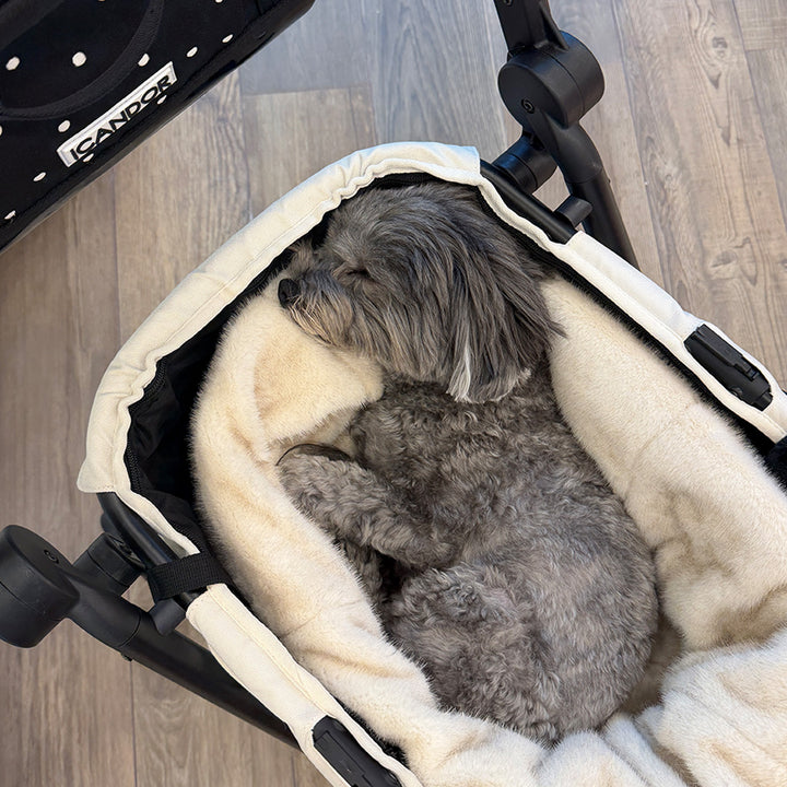Snuggle Nest: gray dog sleeping in the nest inside a stroller