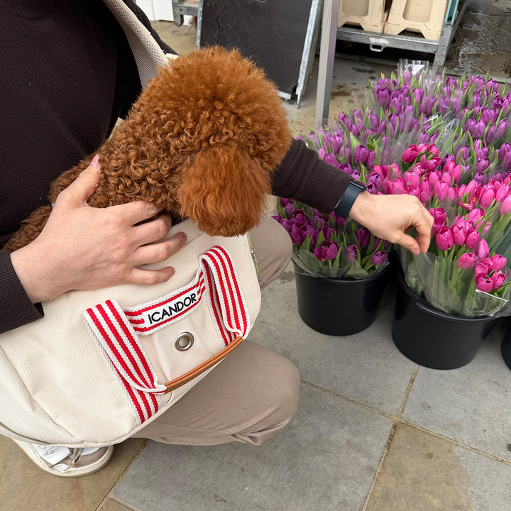 Peek-A-Boo Bag_Capri Edition