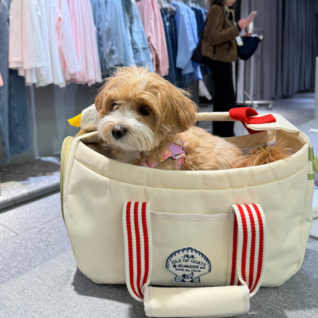 Peek-A-Boo Bag_Capri Edition