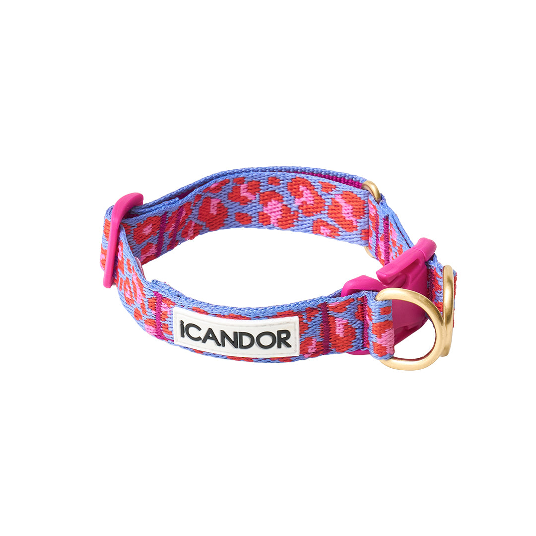 Gentle Collar Dual_Leopard Lavender Blue