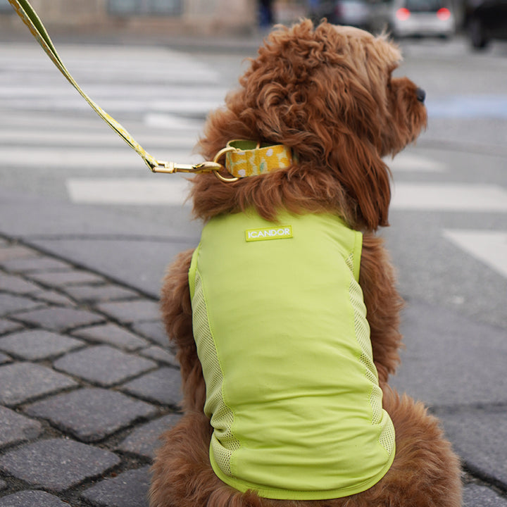 Ocean Cooling Vest_Minty Lime