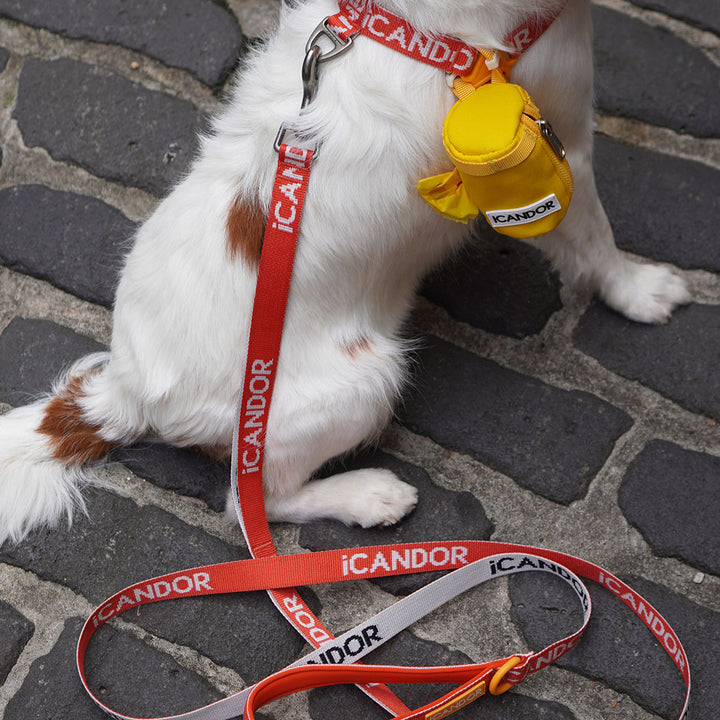 Gentle Leash_Signature