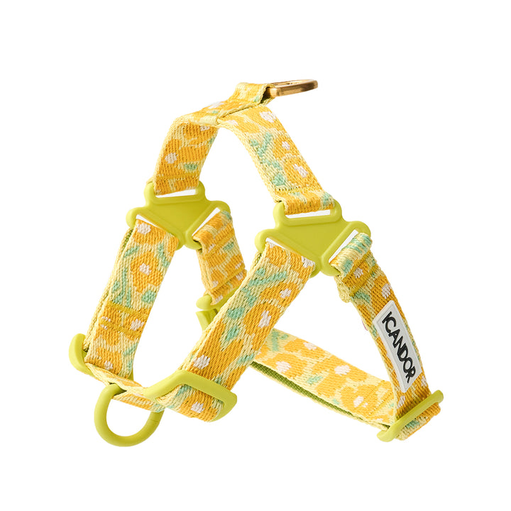 No-Pull Harness_Big Fish Yellow