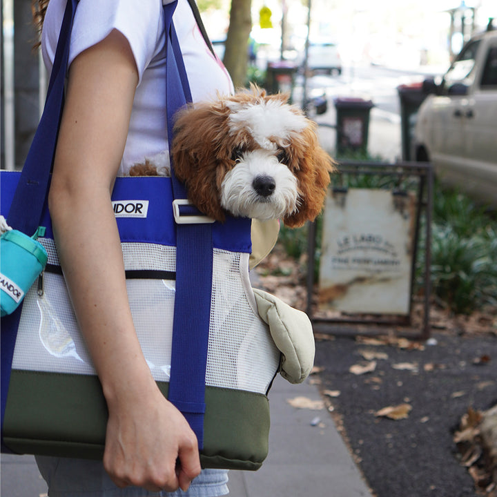 Brisbane Bag_Eastwood Blue
