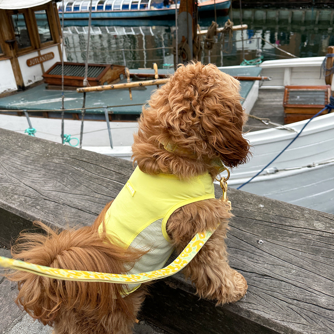 Ocean Cooling Vest_Lemon Sherbet