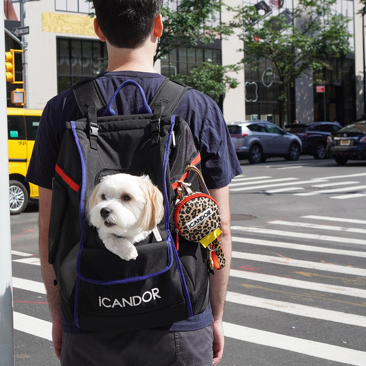 JIGE Bag_Dynamic Black