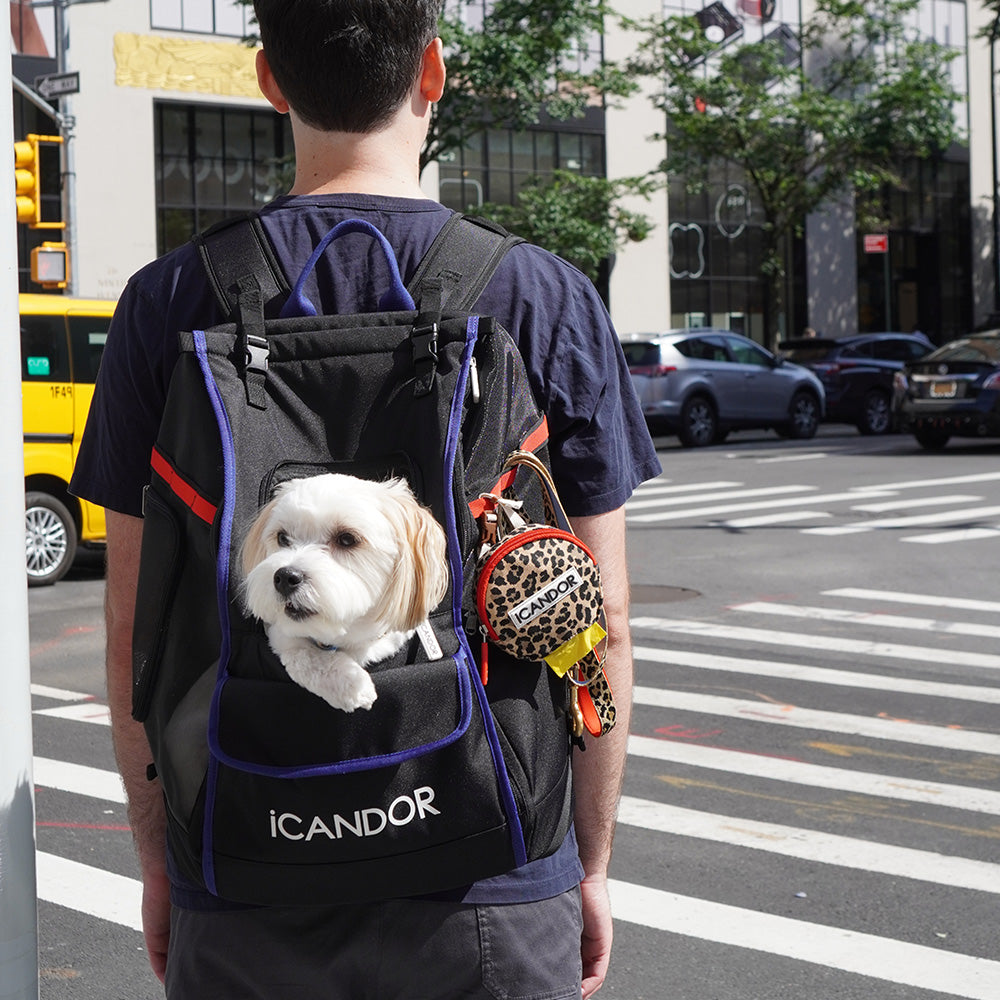 【ICANDOR】JIGE BAG 【未使用品】 JIGE Bag_Dynamic Black – iCANDOR
