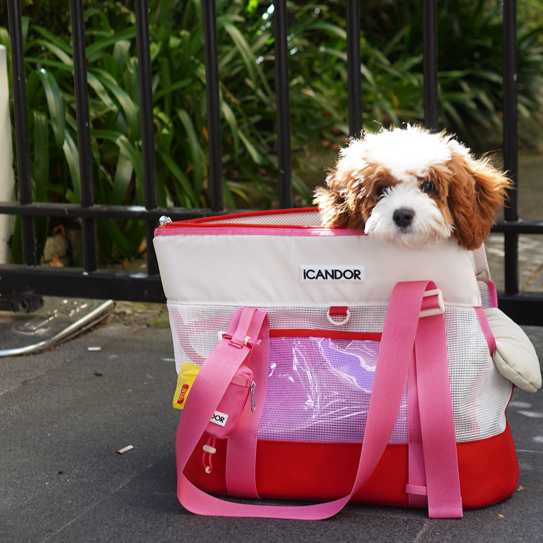 Brisbane Bag_Flamingo Pink