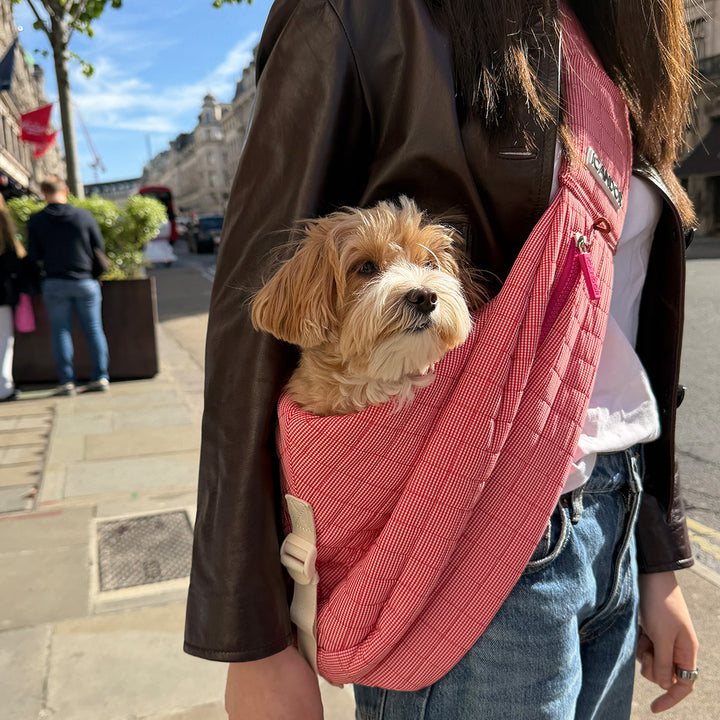 Dumpling Bag_Iconic Red