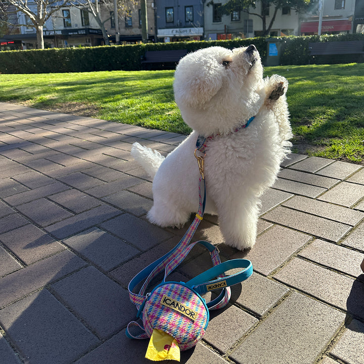 Gentle Leash Bolt, Long_Edinburgh Check