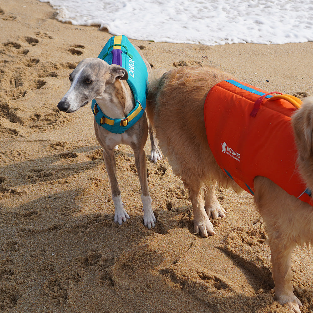 Pawsaver Life Jacket_Red Orange
