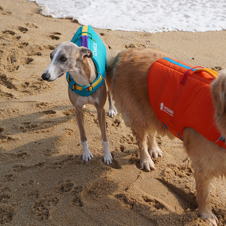 Pawsaver Life Jacket_Red Orange