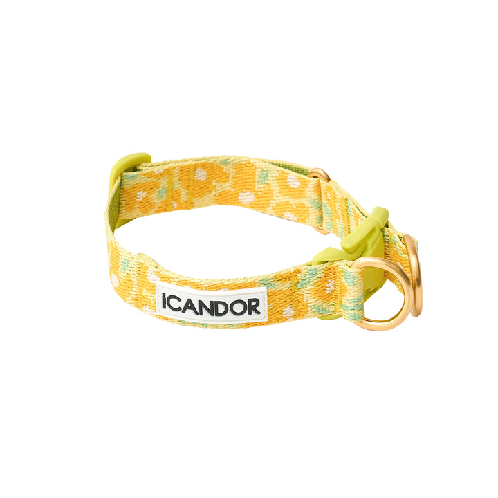 Gentle Collar Dual_Big Fish Yellow