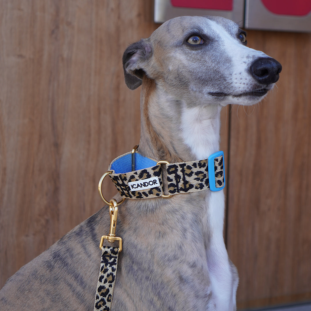 Smooth Martingale Collar 38mm_Leopard
