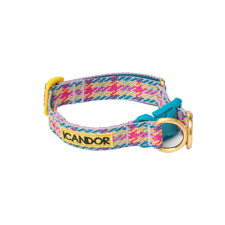 Gentle Collar Dual_Edinburgh Check