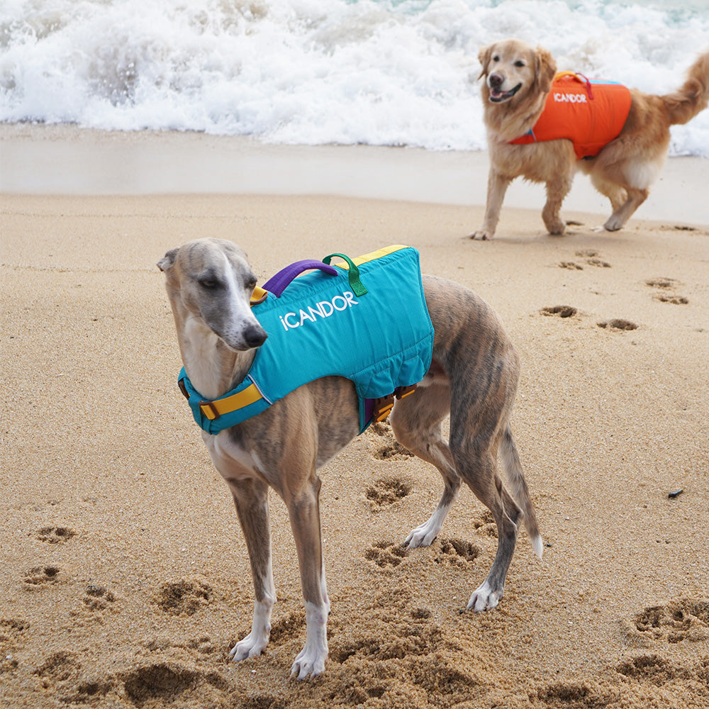 Pawsaver Life Jacket_Turquoise Blue