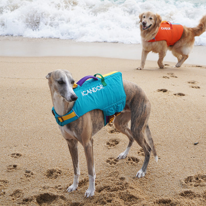 Pawsaver Life Jacket_Turquoise Blue