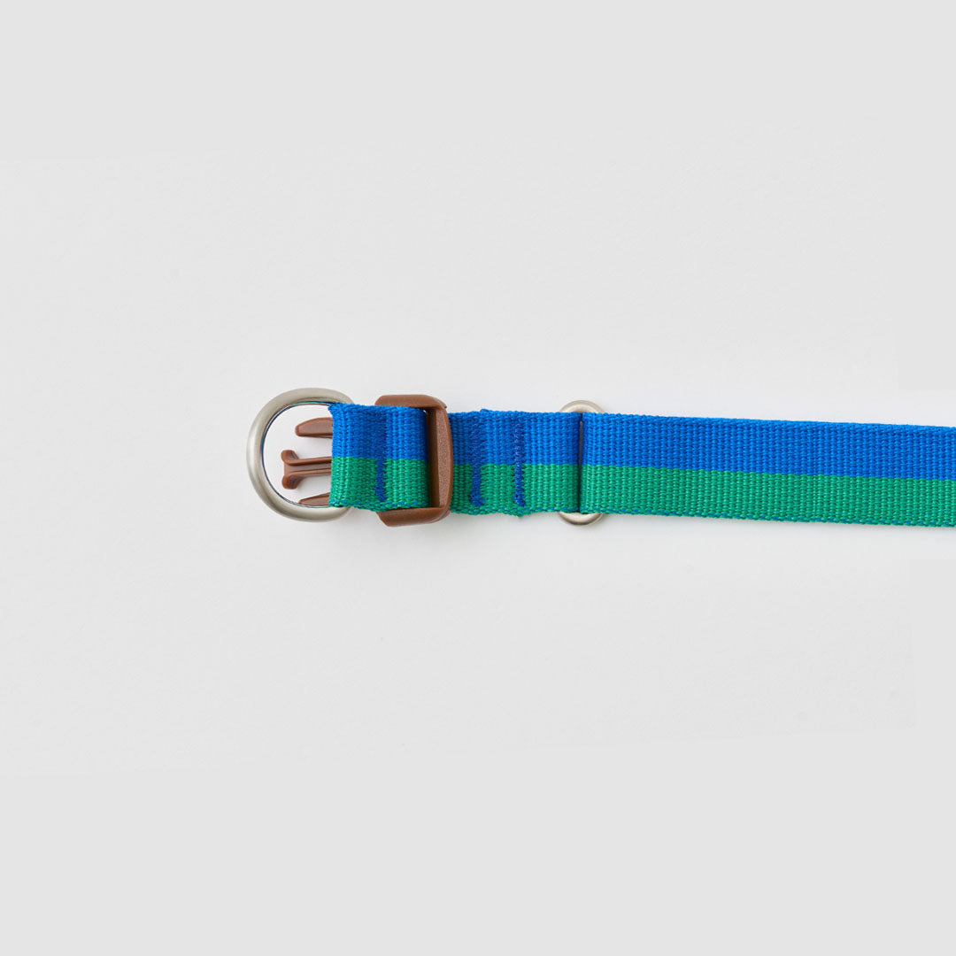 Gentle Collar Dual_Forest