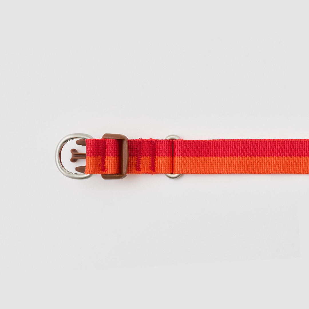 Gentle Collar Dual_Sunset