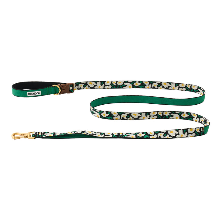 Gentle Leash Bolt_Big Fish