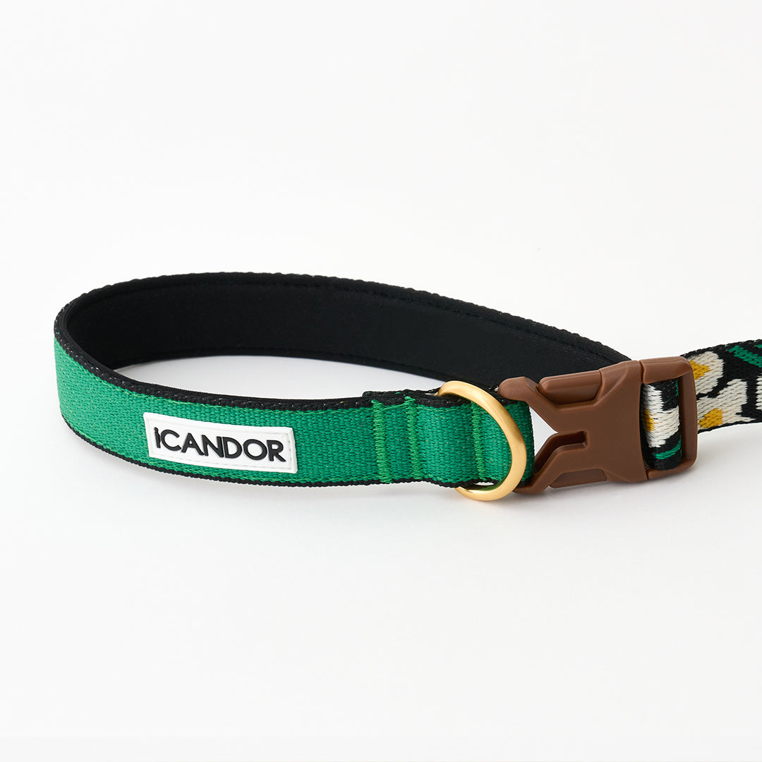 Gentle Leash Bolt_Big Fish