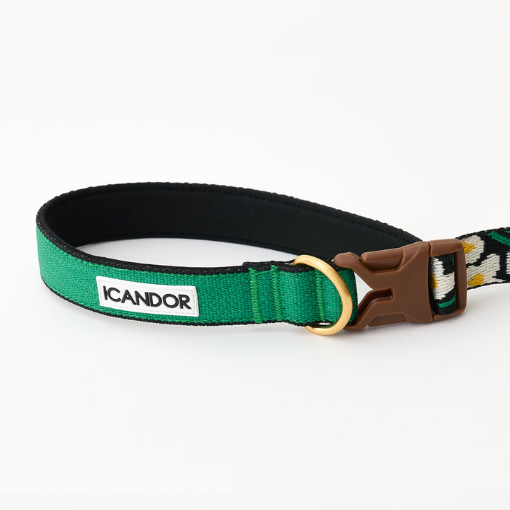 Gentle Leash Bolt_Big Fish