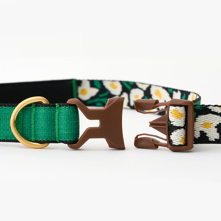 Gentle Leash Bolt_Big Fish