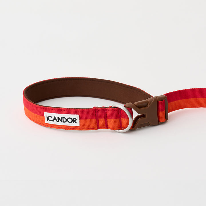 Gentle Leash Bolt_Sunset