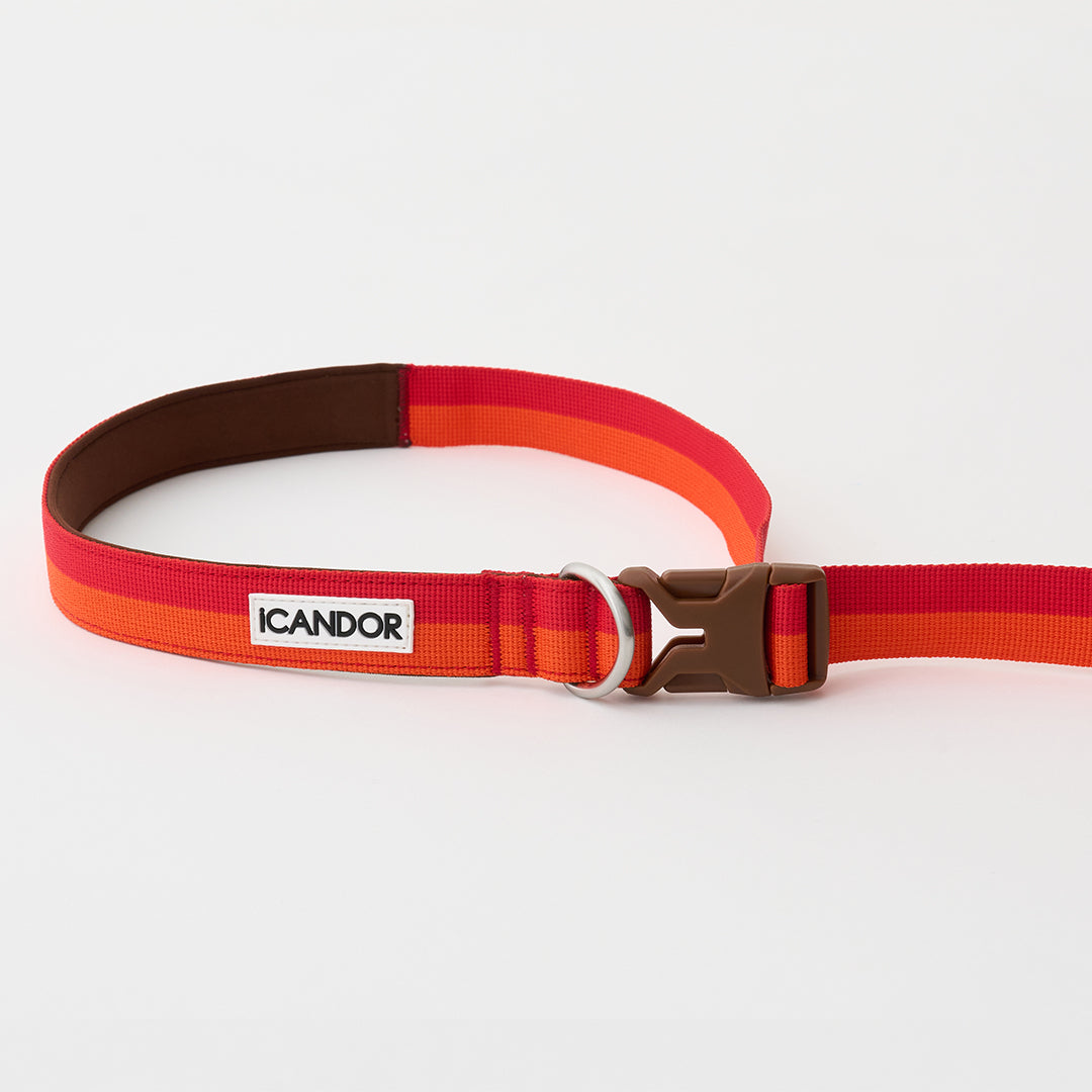 Gentle Leash Bolt_Sunset