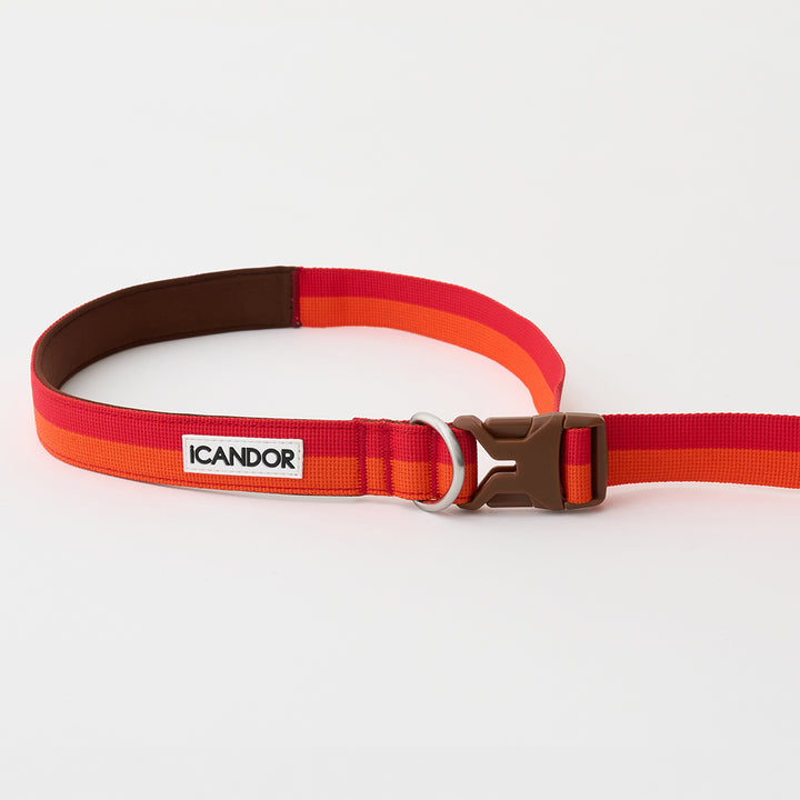 Gentle Leash Bolt_Sunset
