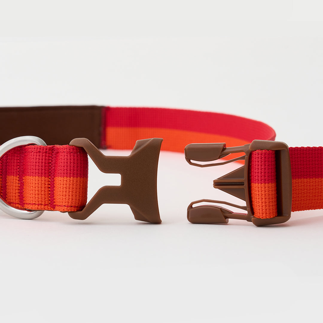Gentle Leash Bolt_Sunset