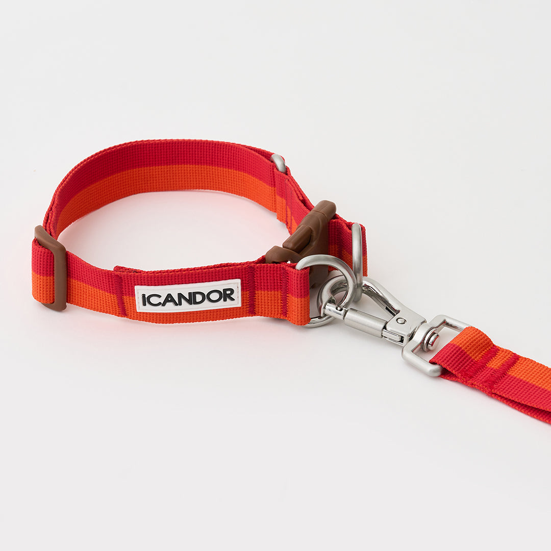 Gentle Leash Bolt_Sunset