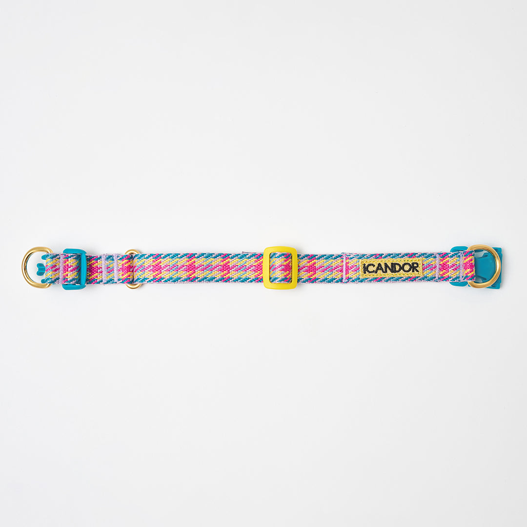 Gentle Collar Dual_Edinburgh Check