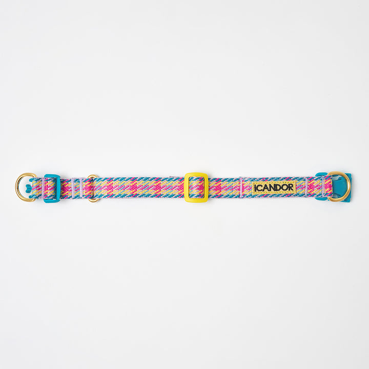 Gentle Collar Dual_Edinburgh Check