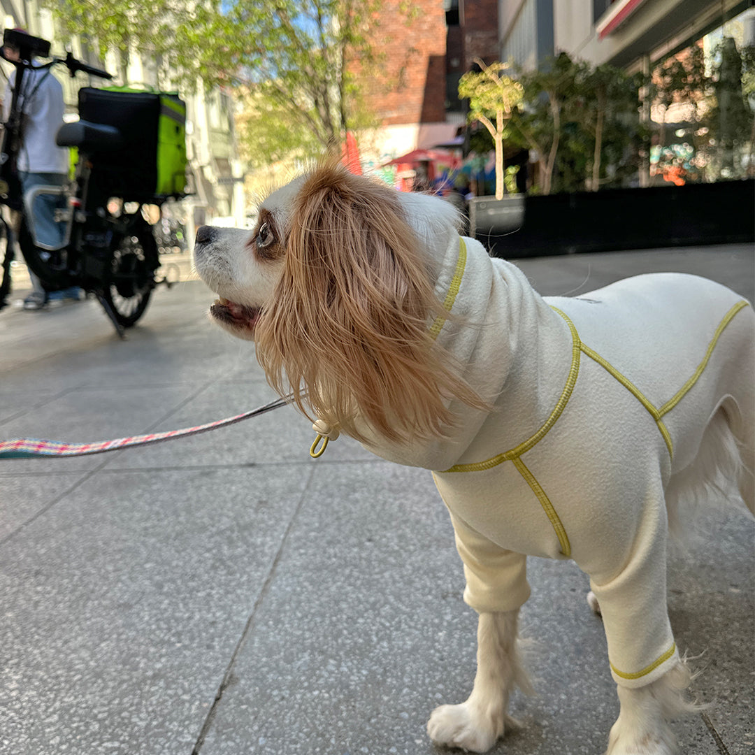 Polar Tweed, Snood Suit_Cream