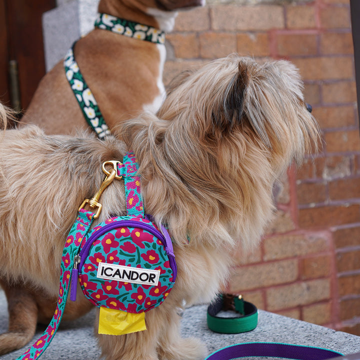 No-Pull Harness_Big Fish Mint