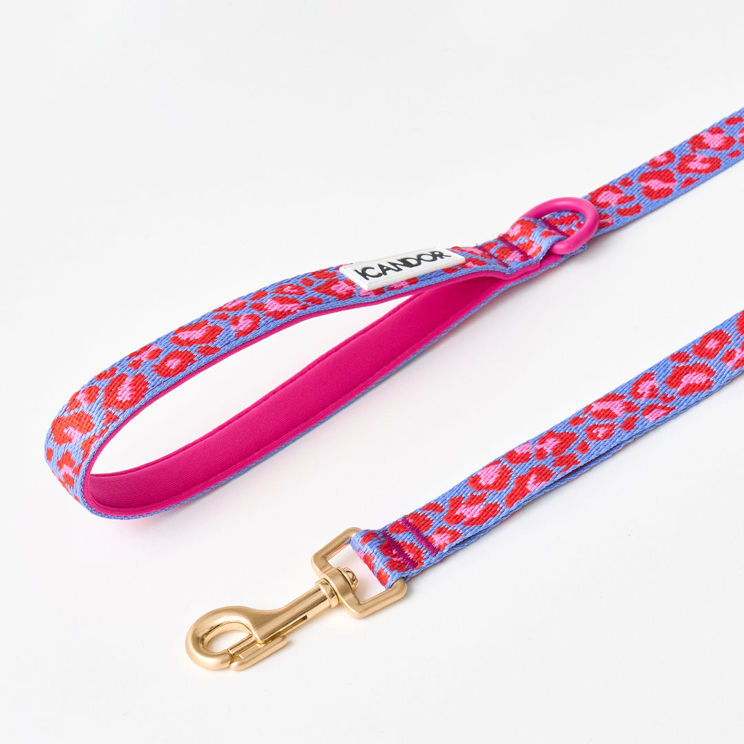 Gentle Leash_Leopard Lavender Blue