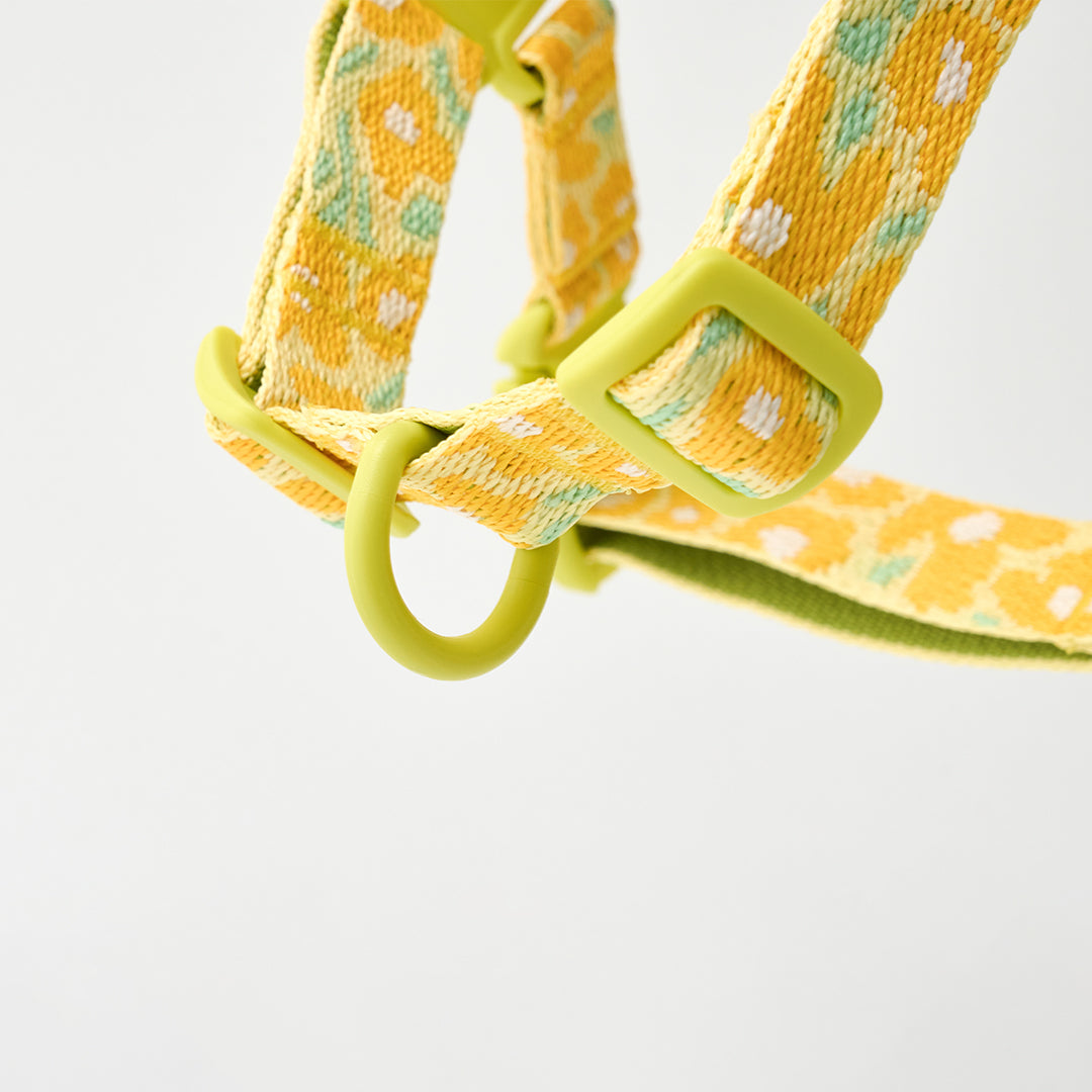 No-Pull Harness_Big Fish Yellow