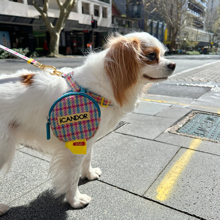 Dingle Dangle Bag_Edinburgh Check