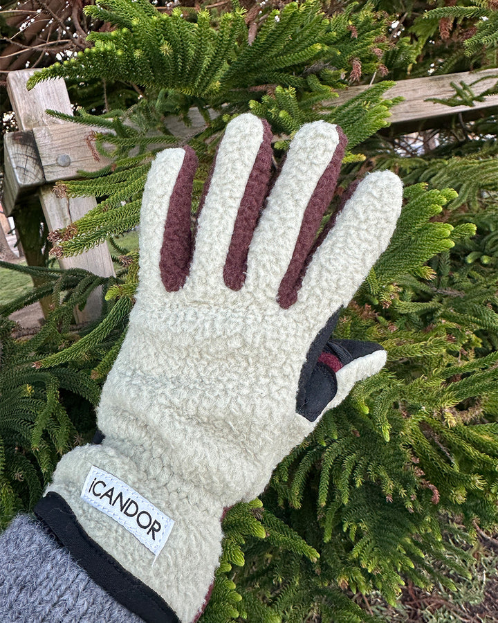 ギャラリー画像