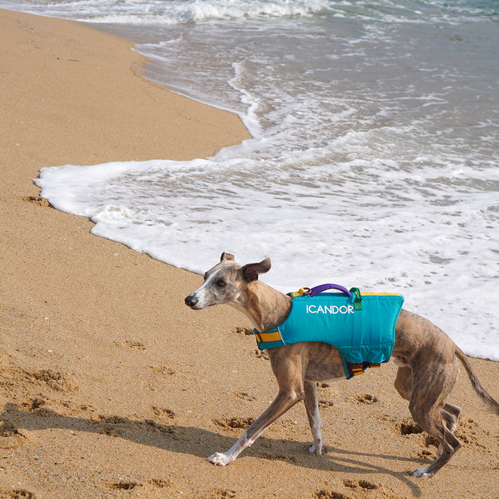 Pawsaver Life Jacket_Turquoise Blue