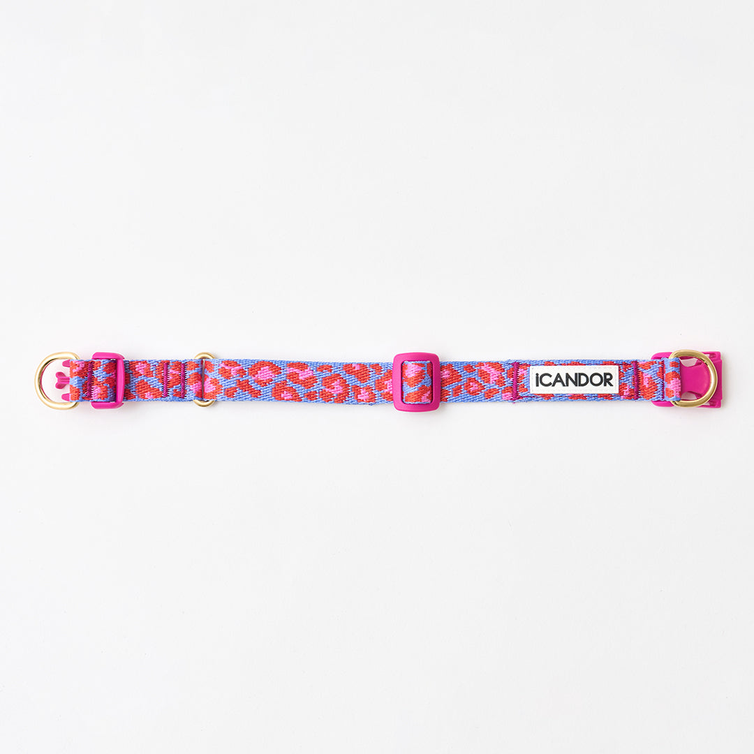 Gentle Collar Dual_Leopard Lavender Blue