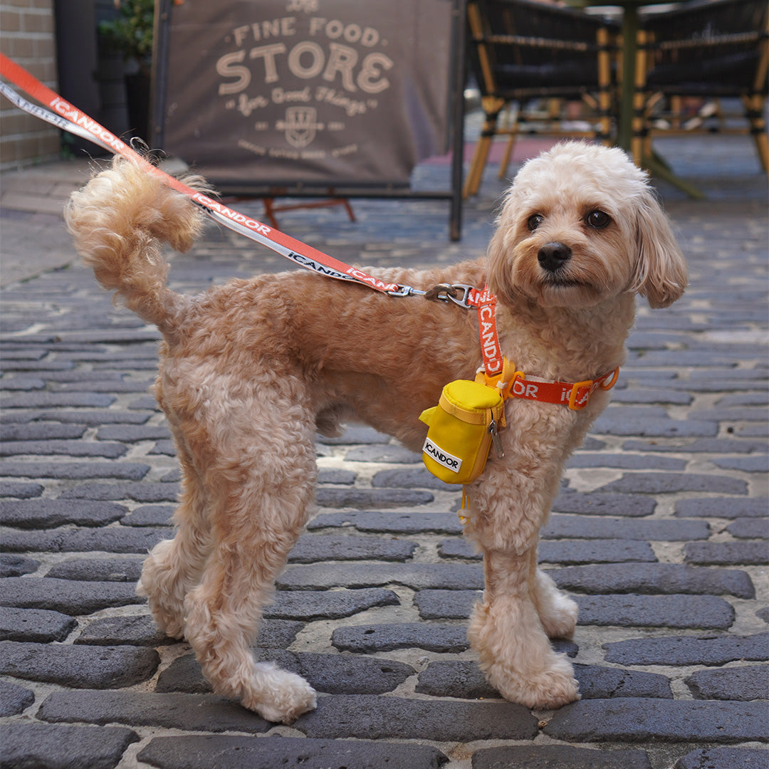 Pooch Pouch_Yellow