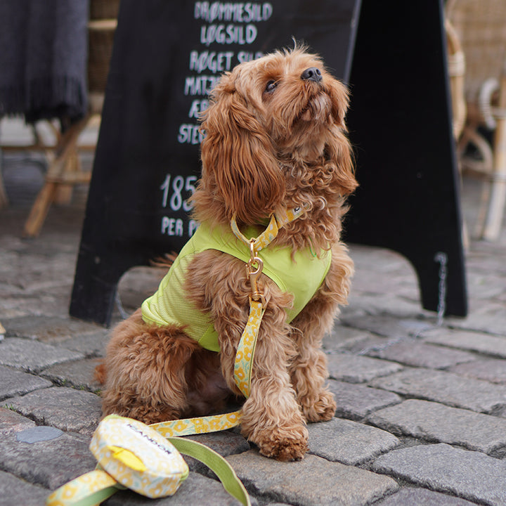 Ocean Cooling Vest_Minty Lime