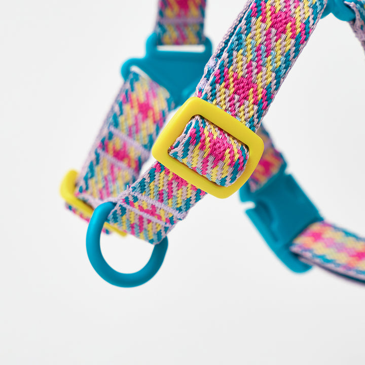 No-Pull Harness_Edinburgh Check