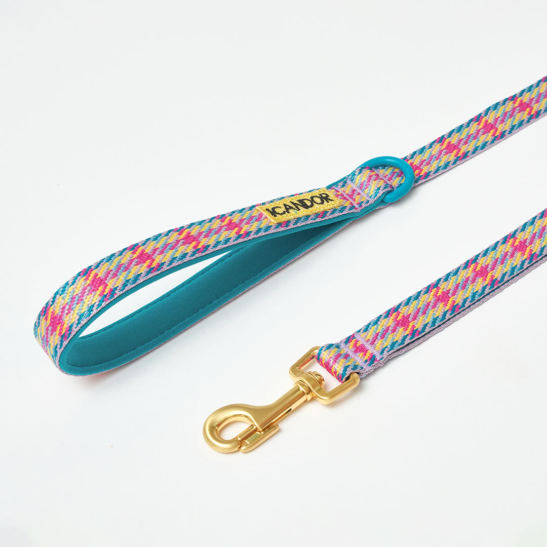 Gentle Leash_Edinburgh Check