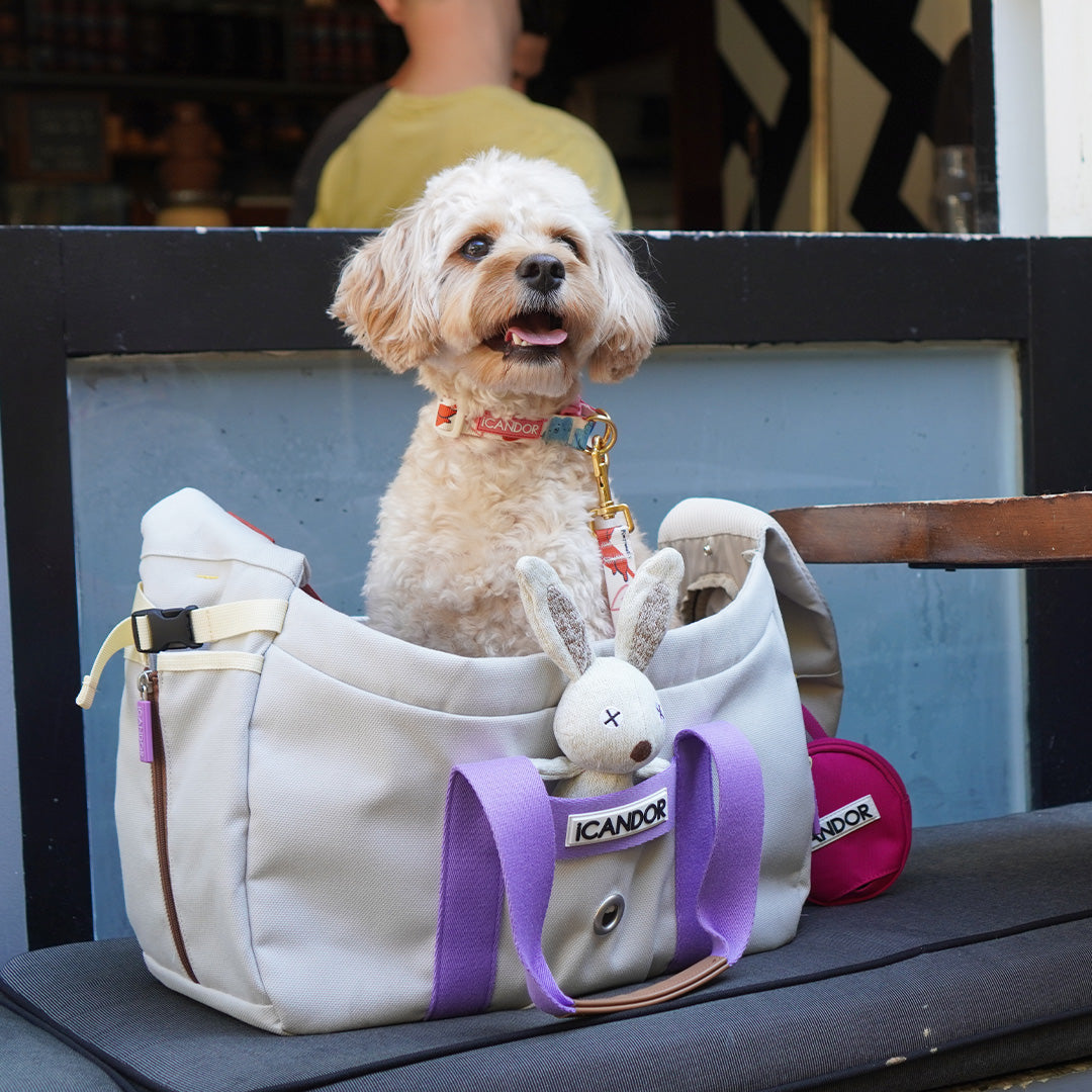Peek-A-Boo Bag_Plum Gray