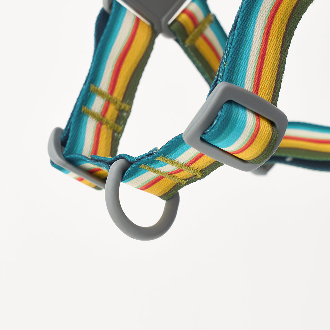No-Pull Harness_Ripple