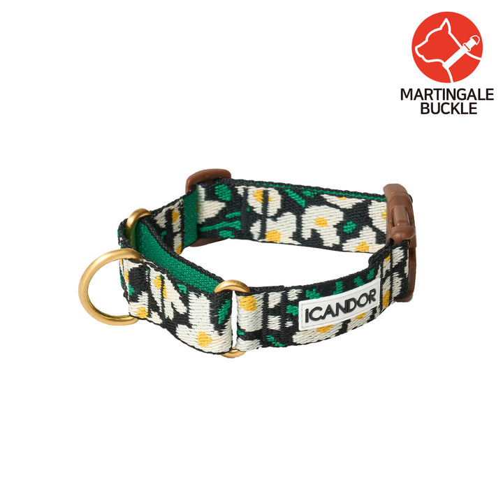 Martingale Collar, Buckle_Big Fish