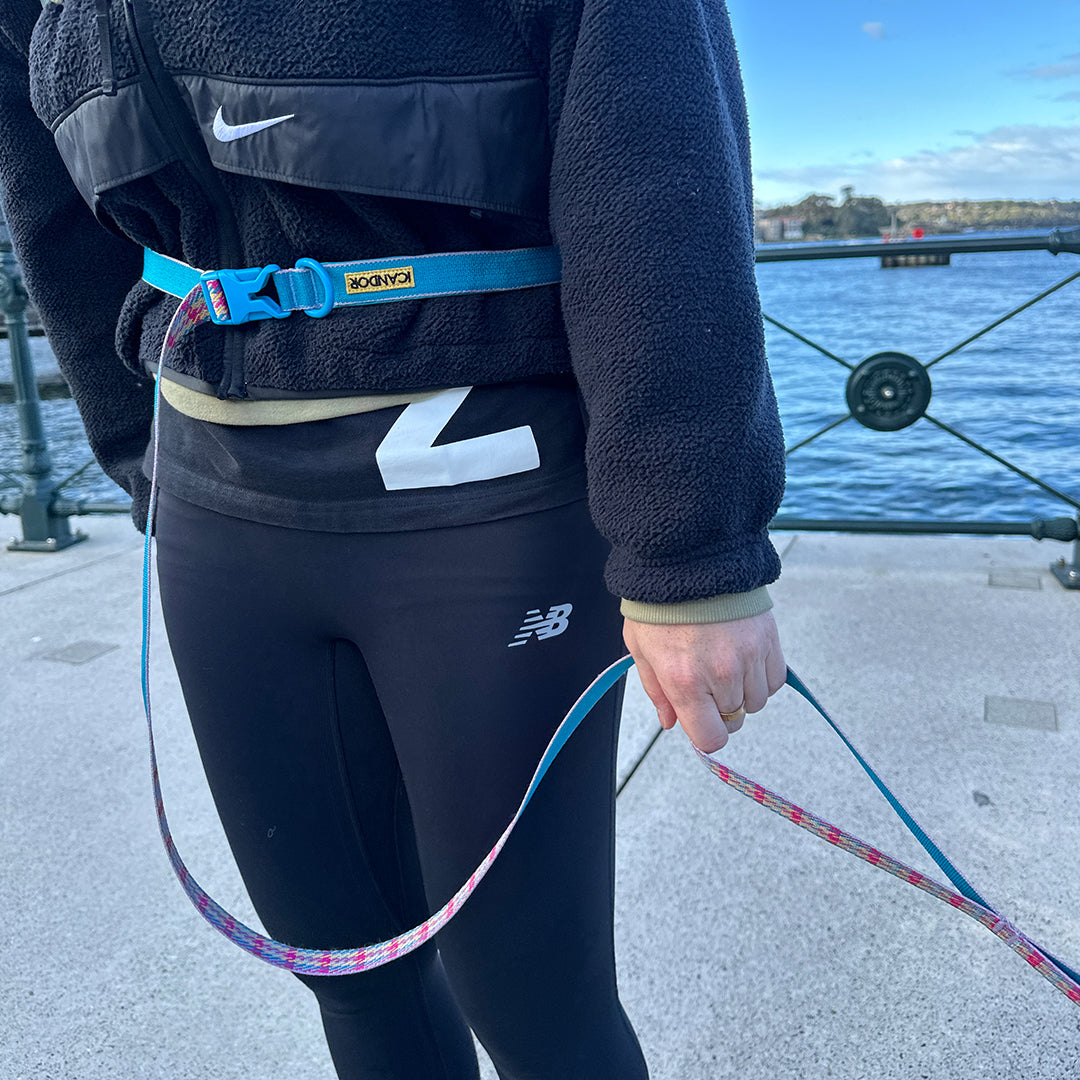 Gentle Leash Bolt_Edinburgh Check